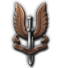 Military Special Service Force icon