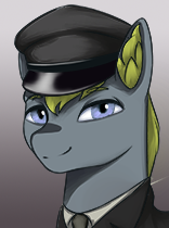 File:Generic Pony Admiral 1.png