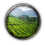 The Emerald Fields Of Tobuck icon