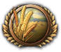 Develop Goldenfeather icon