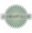 Carapace Motors