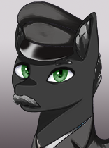 File:Generic Pony Admiral 15.png