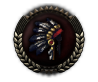 Native Auxiliaries icon